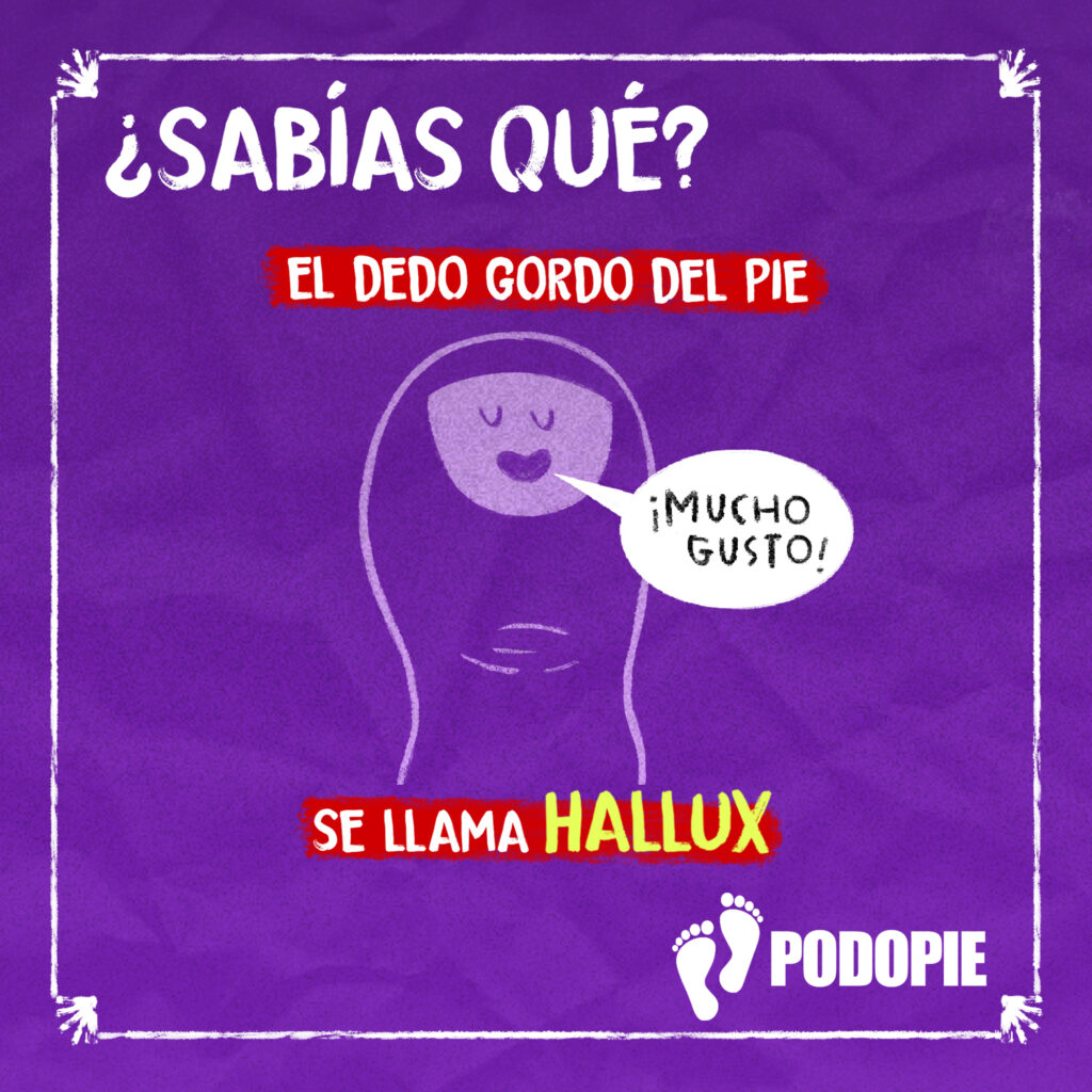 SABIAS QUE
