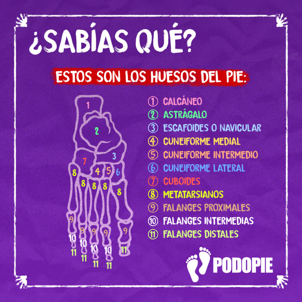 SABIAS QUE