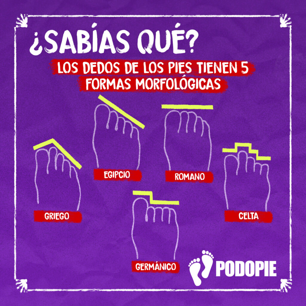 SABIAS QUE