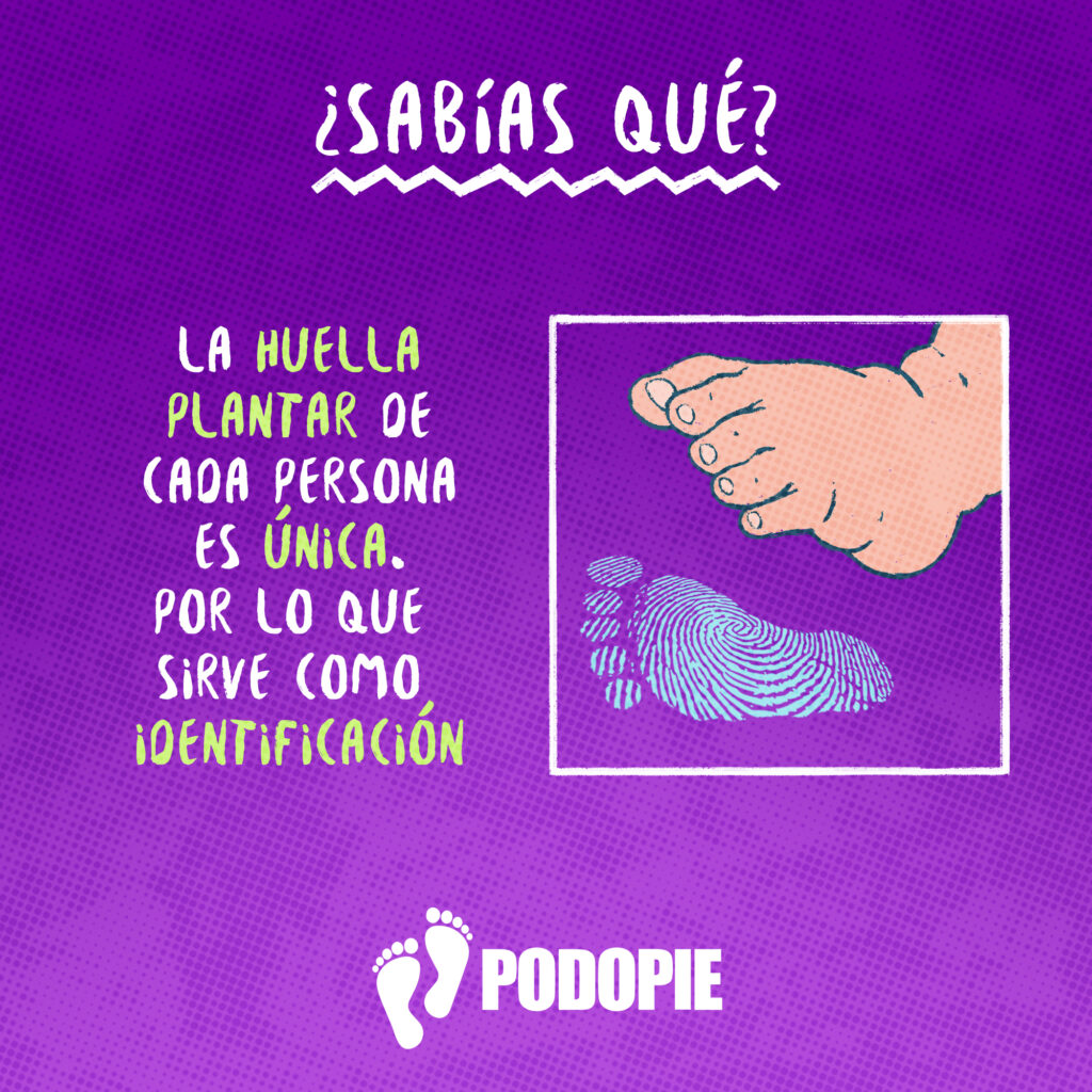 SABIAS QUE