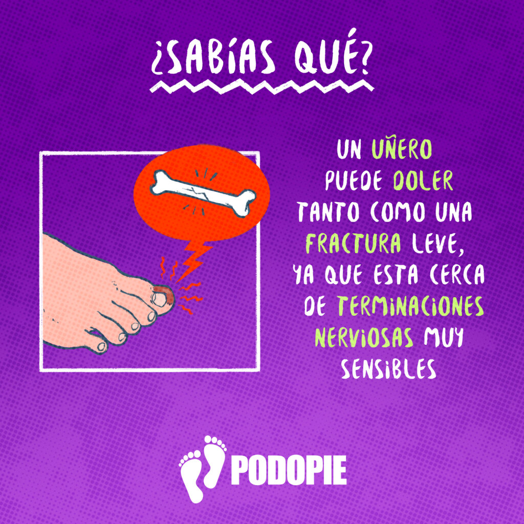 SABIAS QUE