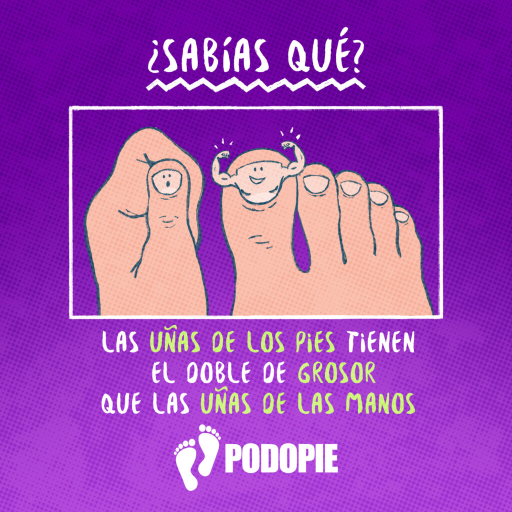 SABIAS QUE